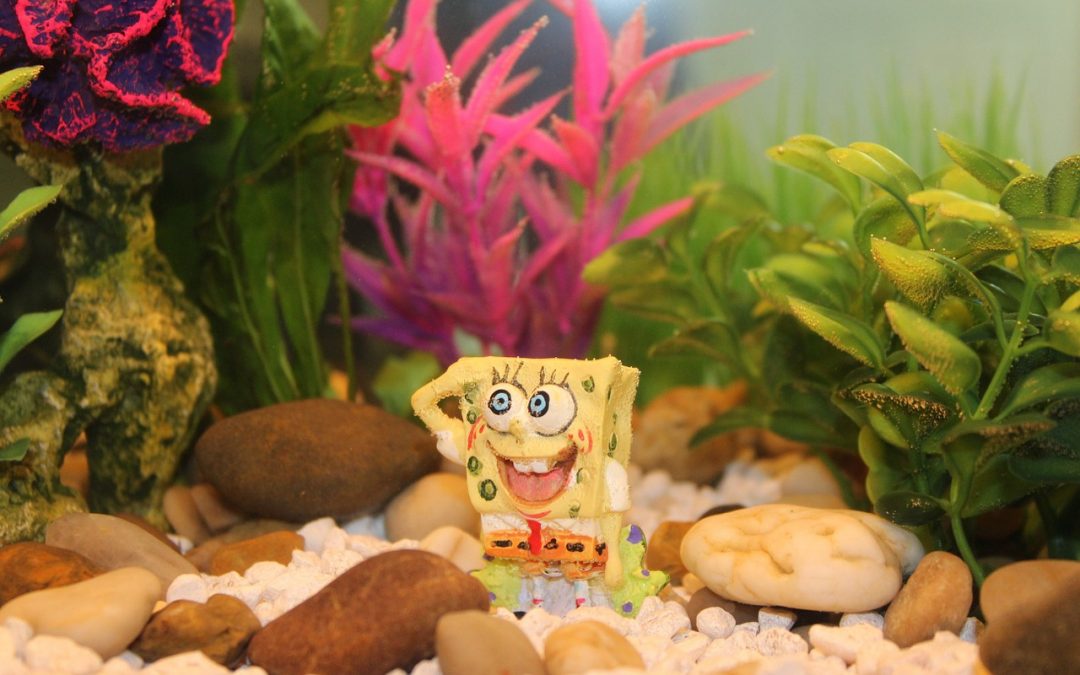 Spongebob huis
